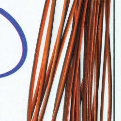 Quill de paon &eacute;barb&eacute;s Orange