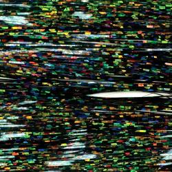 Flashabou predator holographique Noir 97