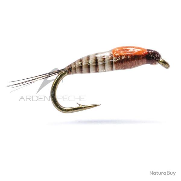 Mouche AB FLY Nymphes MNQ NA SAO H16