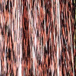 Flashabou Grizzly Orange barr&eacute; noir