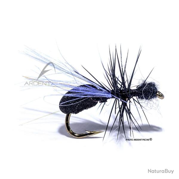 Mouche Igor et Nadica Stancev Fourmi ail�e noire H18