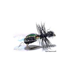 Mouche Igor et Nadica Stancev Fourmi ail&eacute;e flash H18