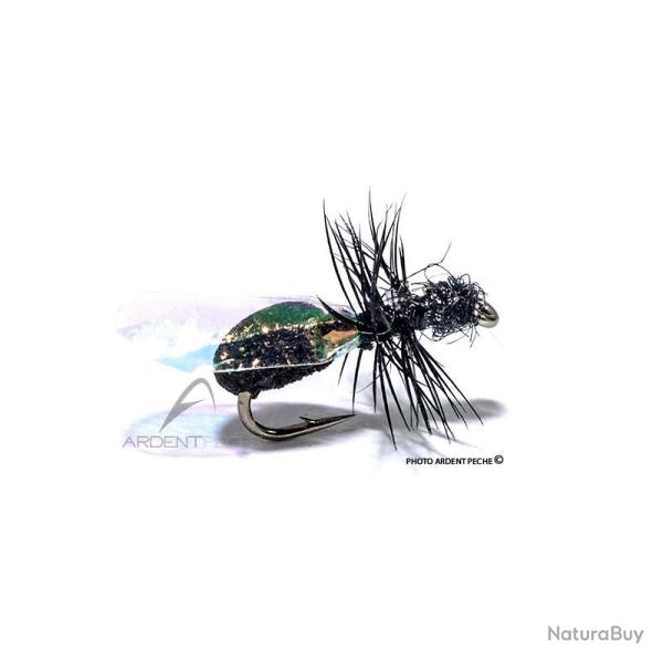 Mouche Igor et Nadica Stancev Fourmi ail�e flash H18
