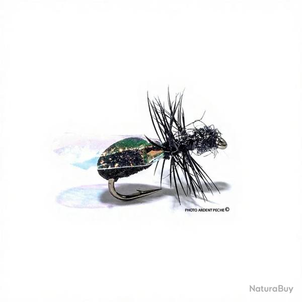 Mouche Igor et Nadica Stancev Fourmi ail�e flash H18