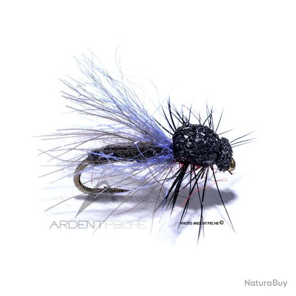 Mouche Igor et Nadica Stancev CDC Bibio H16