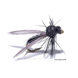 Mouche Igor et Nadica Stancev Bibio ail&eacute;e H14