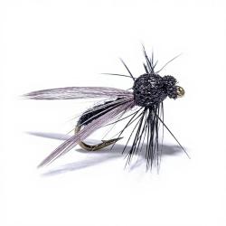Mouche Igor et Nadica Stancev Bibio ail&eacute;e H14