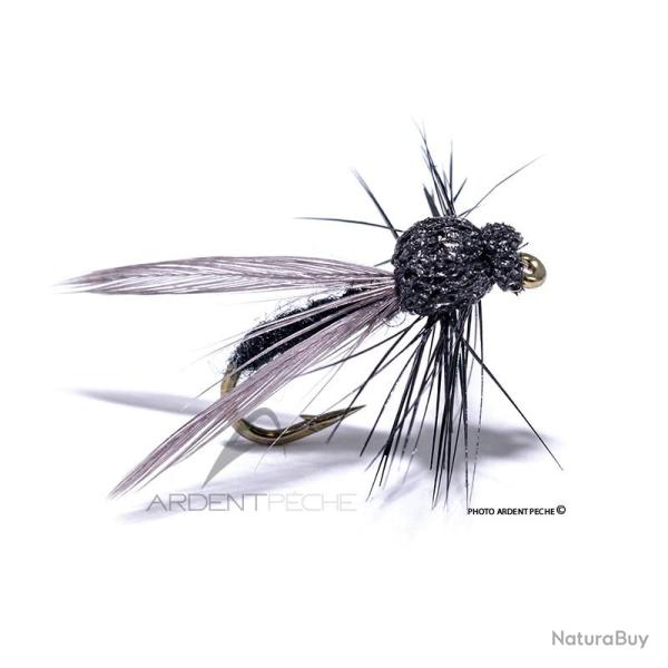 Mouche Igor et Nadica Stancev Bibio ail�e H16