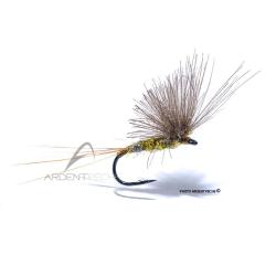 Mouche Igor et Nadica Stancev CDC dun olive H18