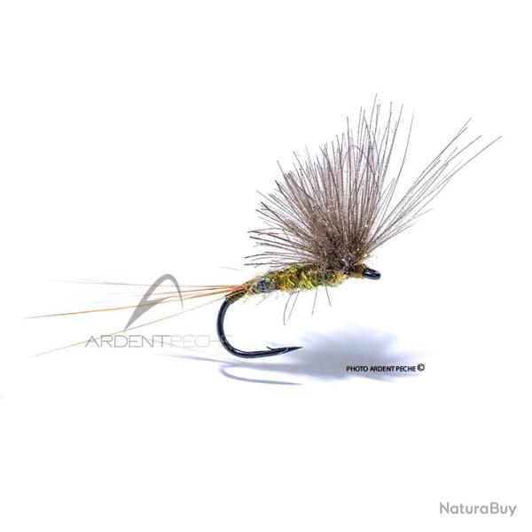 Mouche Igor et Nadica Stancev CDC dun olive H18