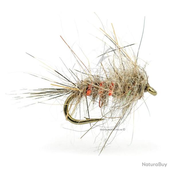 Mouche DEVAUX Emergente JBEOL 01 H18