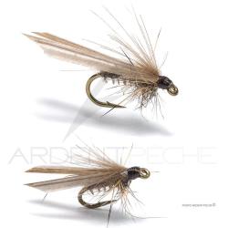 Mouche Florian St&eacute;phan Pleco H16