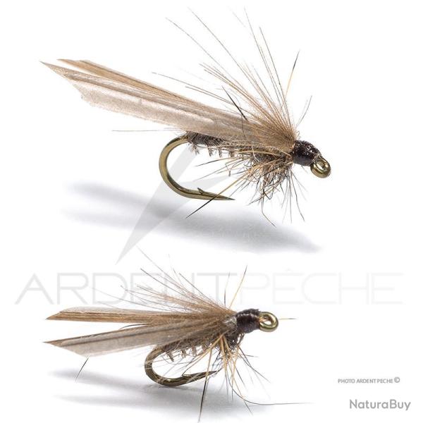 Mouche Florian St�phan Pleco H18