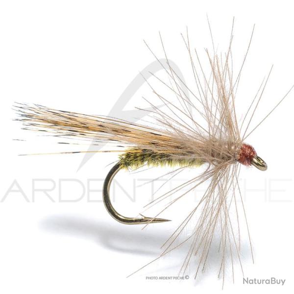 Mouche Florian St�phan sedge pardo CDC H16