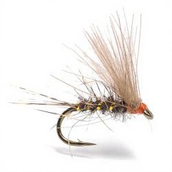 Mouche Florian St&eacute;phan C9K H16