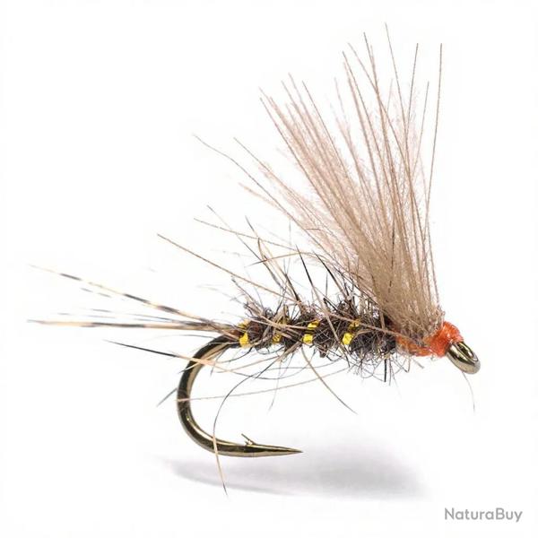 Mouche Florian St�phan C9K H16