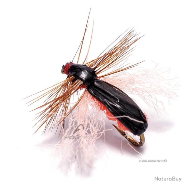 Mouche Igor et Nadica Stancev colepotera H14