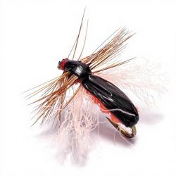Mouche Igor et Nadica Stancev colepotera H16