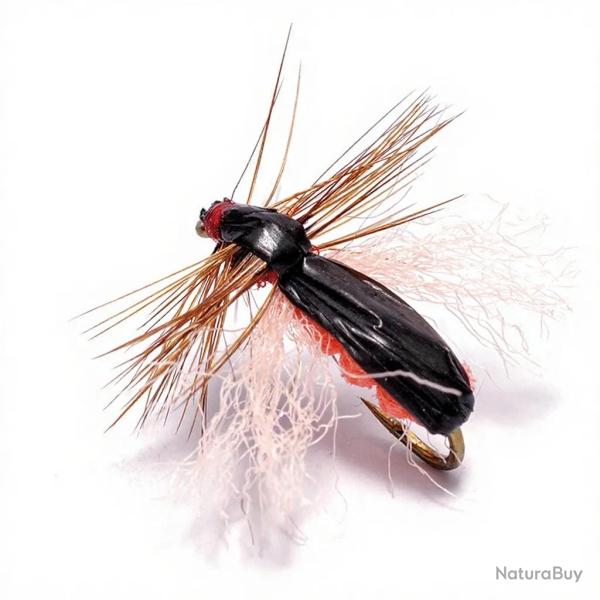 Mouche Igor et Nadica Stancev colepotera H16
