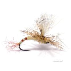 Mouche Igor et Nadica Stancev Mai parachute Danica H10