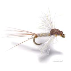 Mouche Igor et Nadica Stancev Caenis spent H20