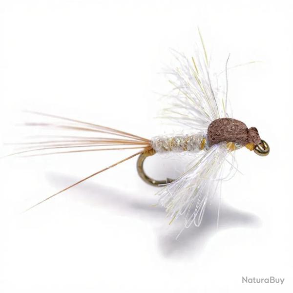 Mouche Igor et Nadica Stancev Caenis spent H20