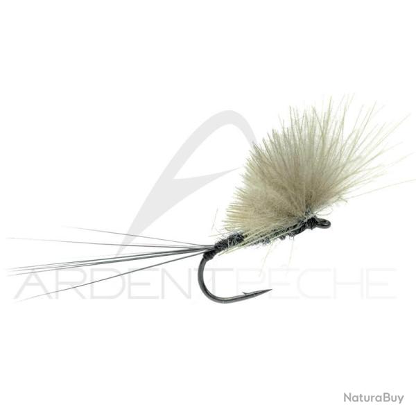 Mouche Igor et Nadica Stancev CDC dun noir H14