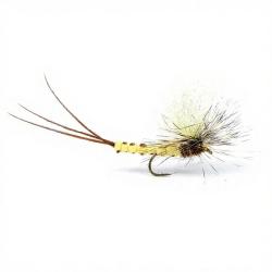 Mouche Igor et Nadica Stancev mouche de mai body H12