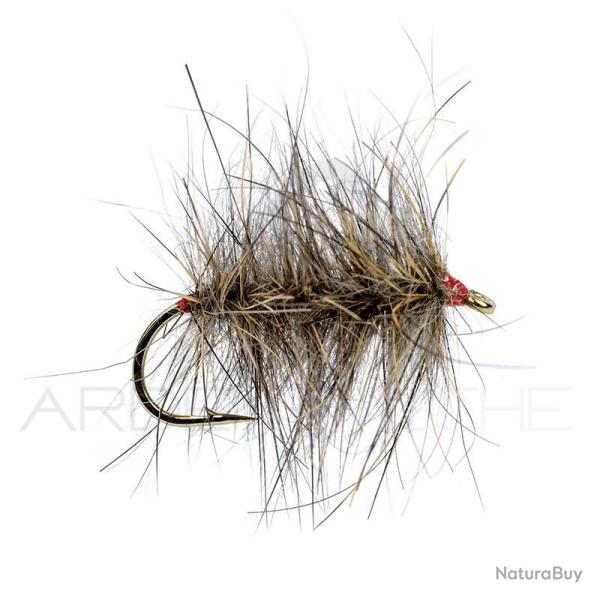 Mouche Igor et Nadica Stancev Palmer li�vre H12