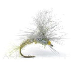 Mouche Igor et Nadica Stancev Para &eacute;mergente BWO H16