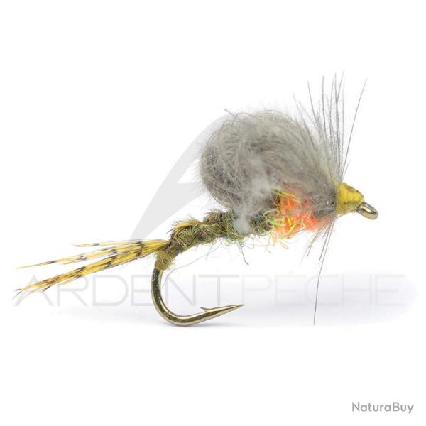 Mouche Igor et Nadica Stancev Emergente Loop olive fonc�e H16