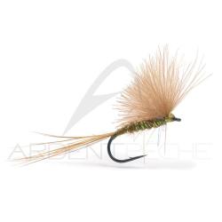 Mouche Igor et Nadica Stancev CDC Dun Brown H18