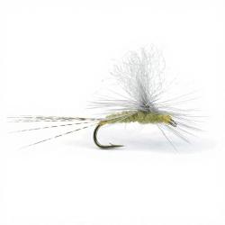 Mouche Igor et Nadica Stancev parachute BWO H14