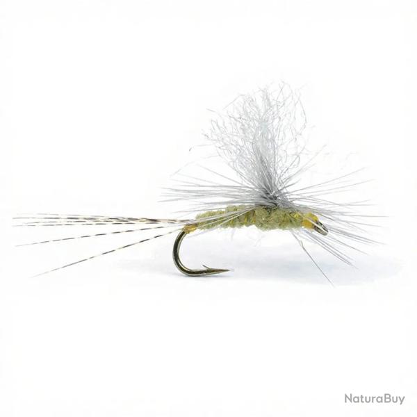Mouche Igor et Nadica Stancev parachute BWO H14