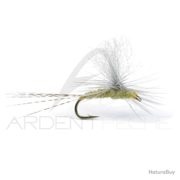 Mouche Igor et Nadica Stancev parachute BWO H16