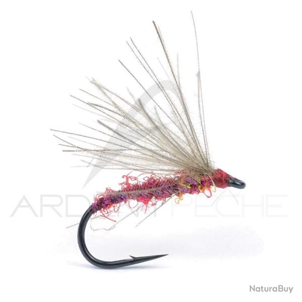 Mouche Igor et Nadica Stancev CDC Cripple Claret H16