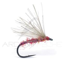 Mouche Igor et Nadica Stancev CDC Cripple Claret H18