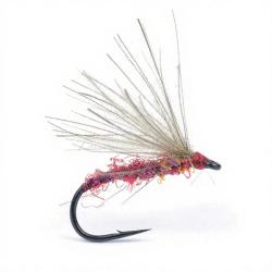Mouche Igor et Nadica Stancev CDC Cripple Claret H18