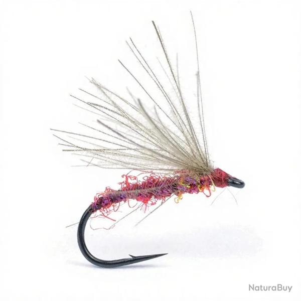 Mouche Igor et Nadica Stancev CDC Cripple Claret H18