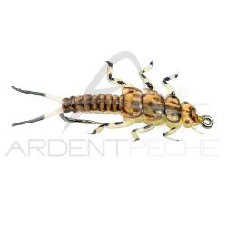 Mouche r&eacute;aliste Stonefly nymphe Or H8