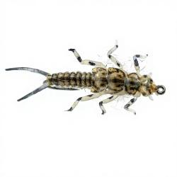 Mouche r&eacute;aliste Stonefly nymphe Tan H10