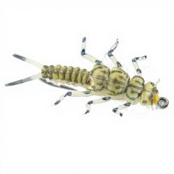 Mouche r&eacute;aliste Stonefly nymphe Pale H10