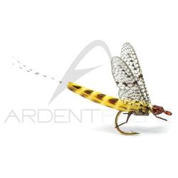 Mouche r&eacute;aliste Mayfly 2 Ephemera Danica H12