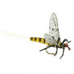 Mouche r&eacute;aliste Mayfly 2 BWO H16
