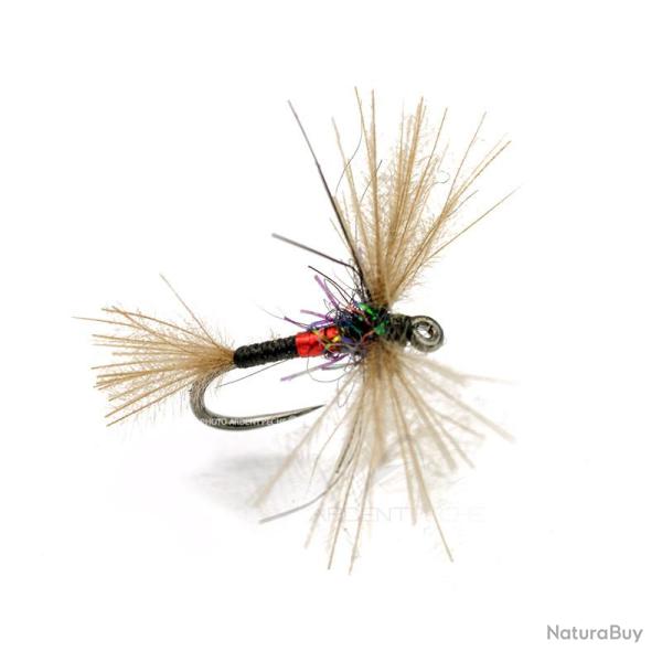 Mouche A.P. CDC Lazo H20