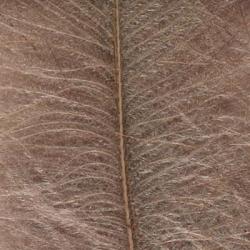 Cul de canard DEVAUX select GRIS A