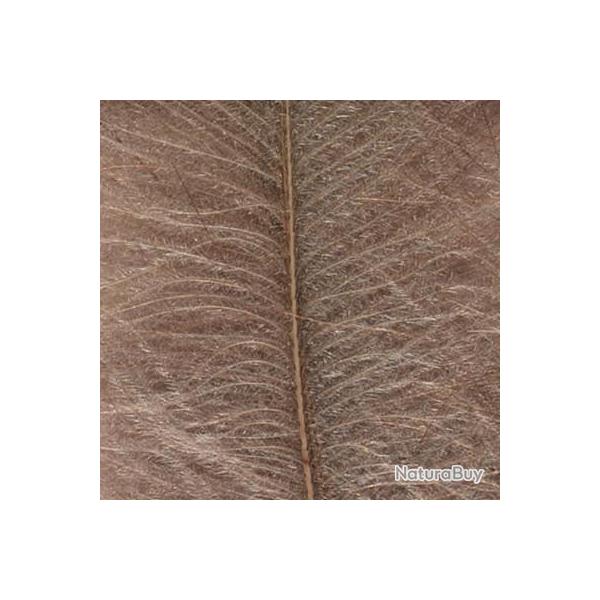 Cul de canard DEVAUX select GRIS A