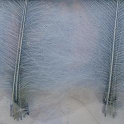 Cul de canard DEVAUX select Gris bleu clair