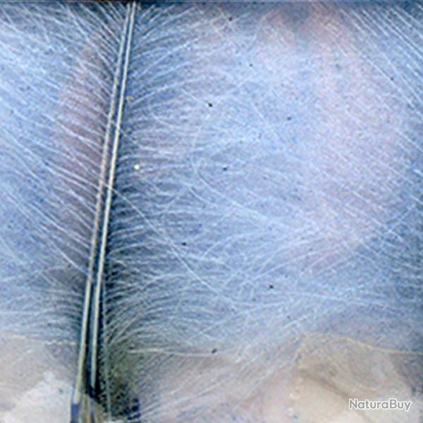 Cul de canard DEVAUX select Gris bleu