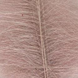 Cul de canard DEVAUX select GRIS CLAIR